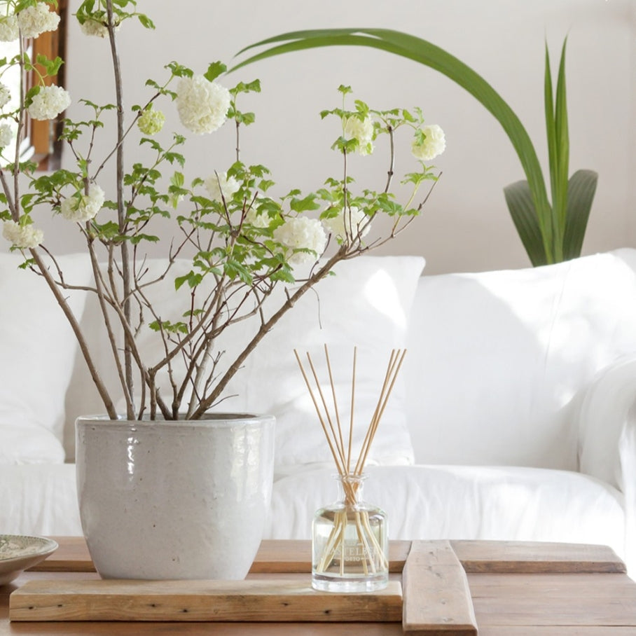 Verbena Fragrance Diffuser 100ml